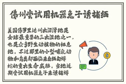 二十八岁未成年播放